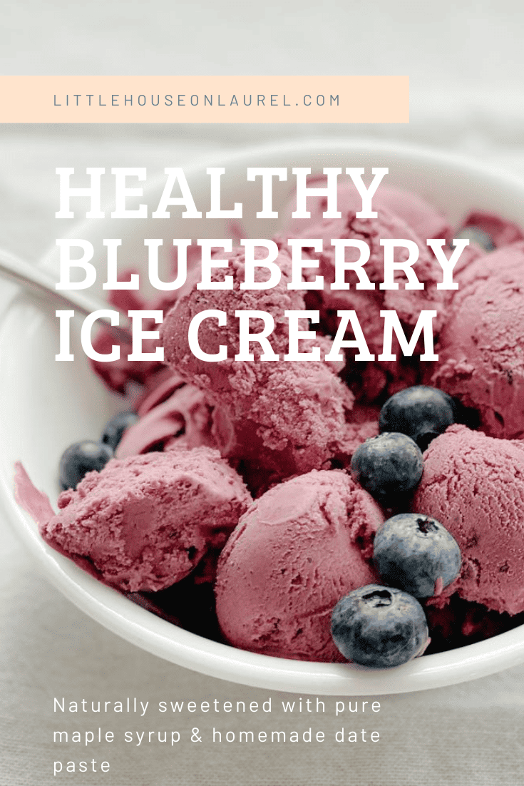 blueberry ice cream fresh blueberries