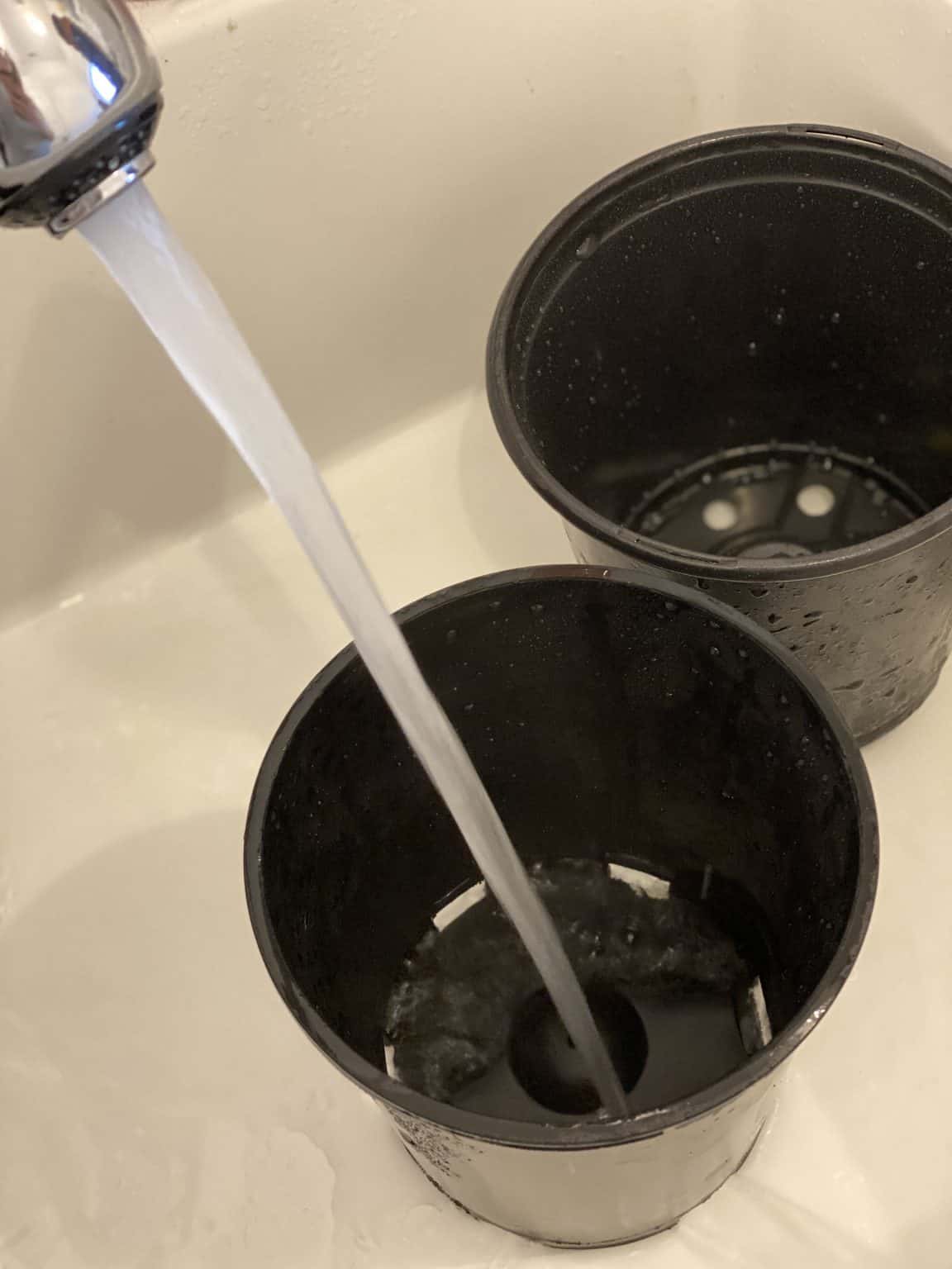 How to Sanitize Seed Trays » Little House on Laurel